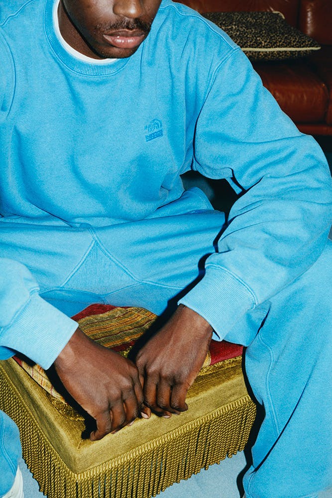 supreme north face pigment